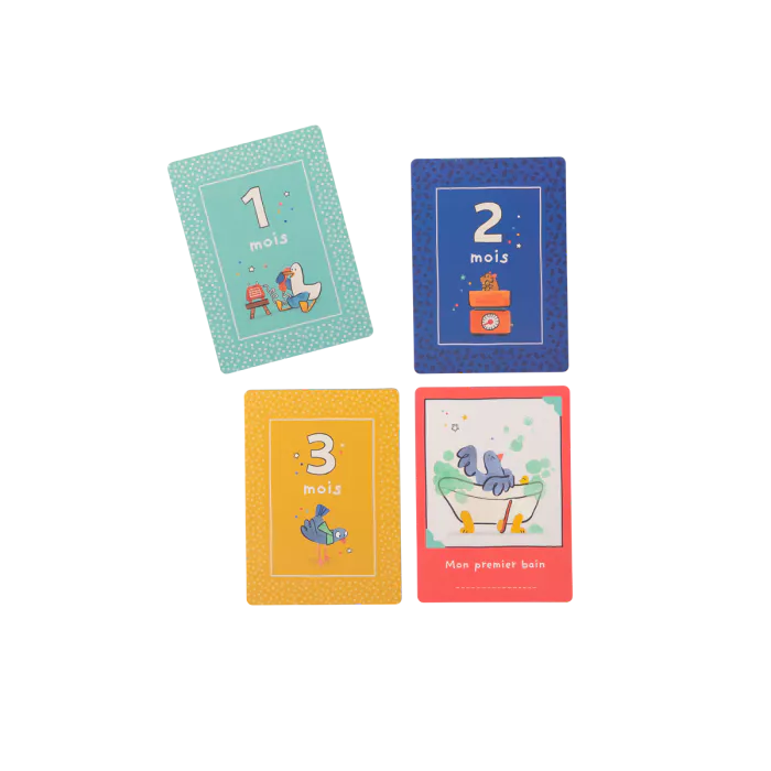 Cartes Mes 12 premiers mois Puce & Pilou - Moulin Roty