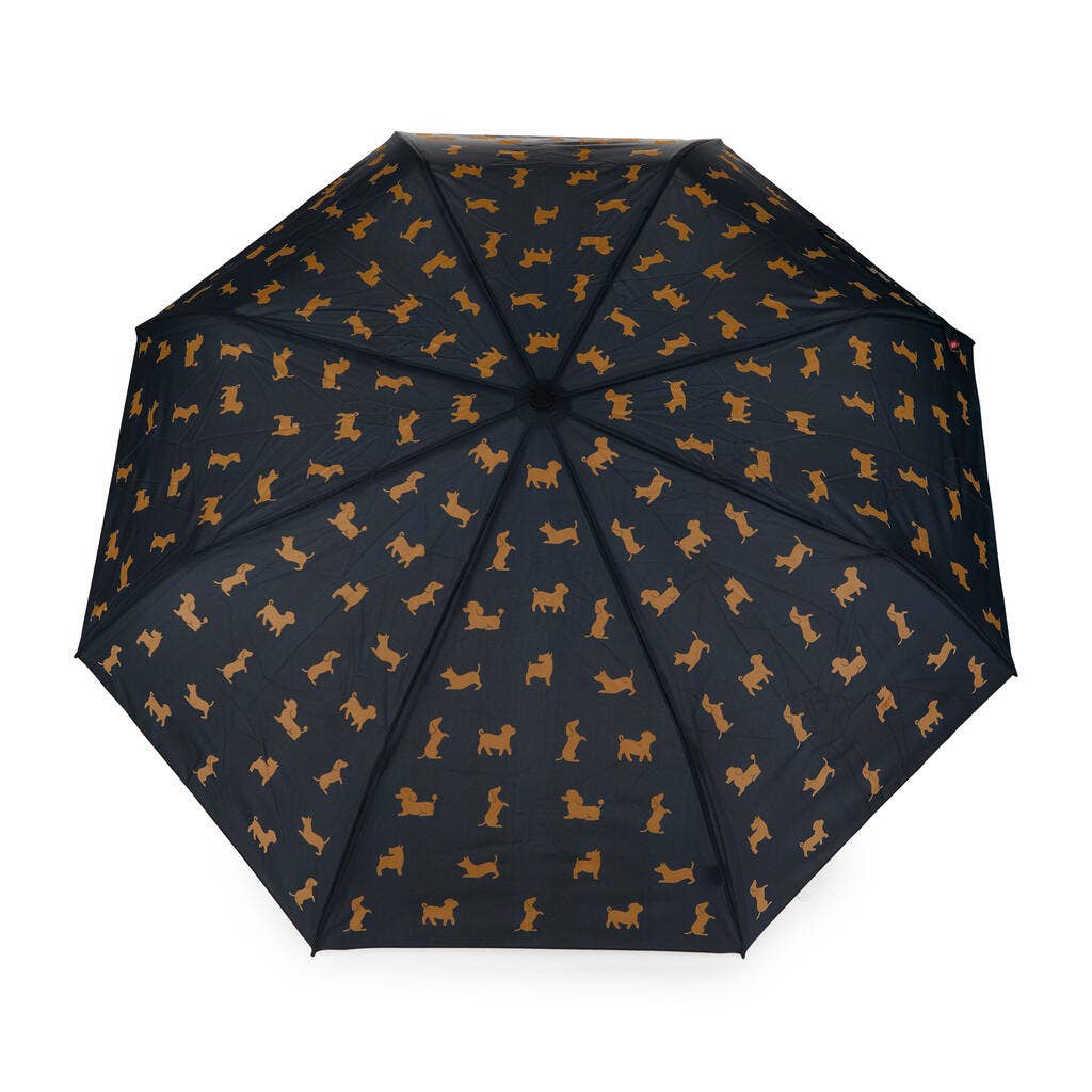 Parapluie TECKEL NOIR