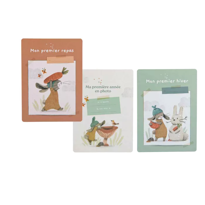 Cartes Mes 12 premiers mois Trois petits lapins - Moulin Roty