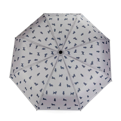 Parapluie CHAT GRIS