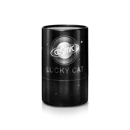 Lucky cat - SHINY SILVER