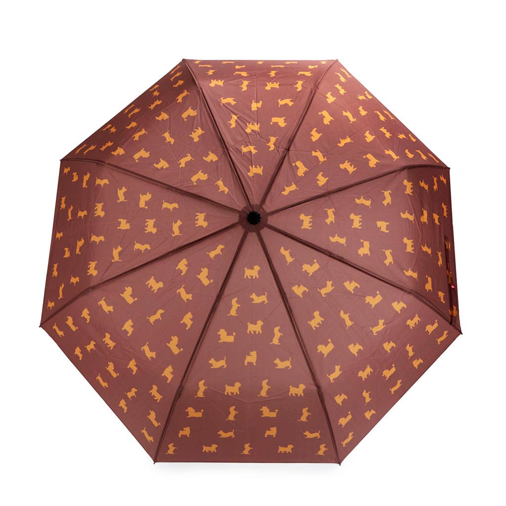 Parapluie CHIEN MARRON