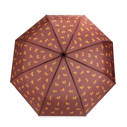 Parapluie CHIEN MARRON