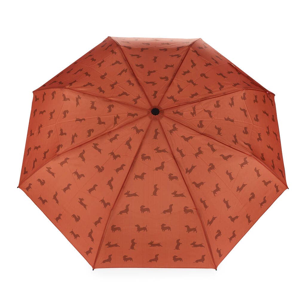 Parapluie TECKEL MARRON